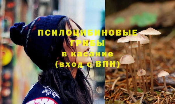 гидра Нея